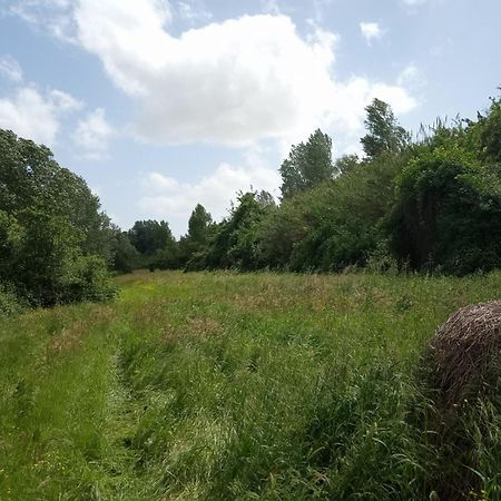 Apartament Az.Agricola Agriturismo La Locanda Di Lann Fucecchio Zewnętrze zdjęcie