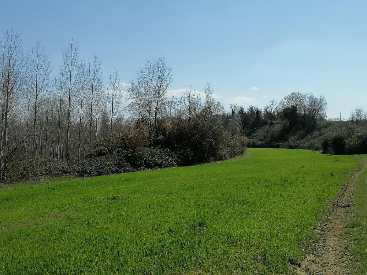 Apartament Az.Agricola Agriturismo La Locanda Di Lann Fucecchio Zewnętrze zdjęcie