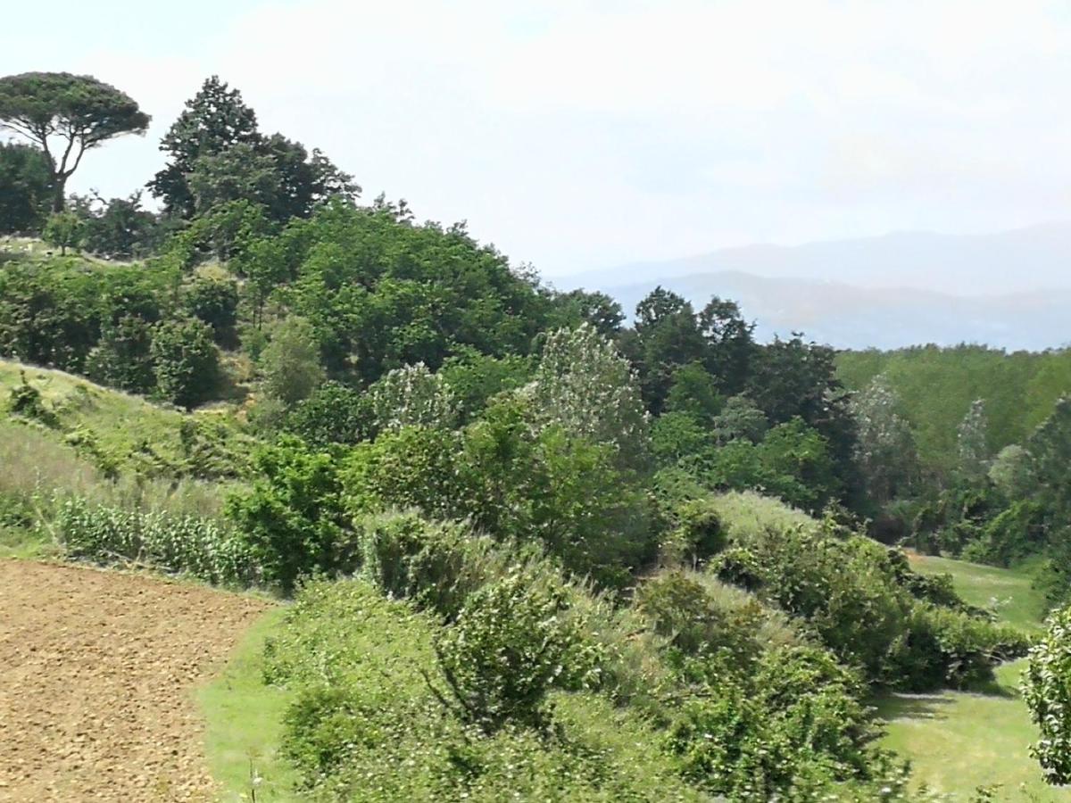 Apartament Az.Agricola Agriturismo La Locanda Di Lann Fucecchio Zewnętrze zdjęcie