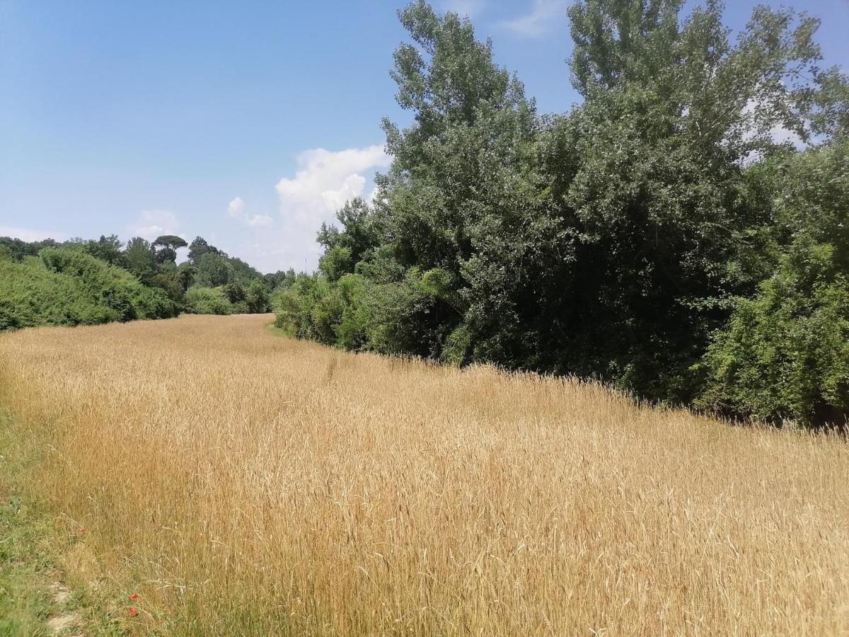 Apartament Az.Agricola Agriturismo La Locanda Di Lann Fucecchio Zewnętrze zdjęcie