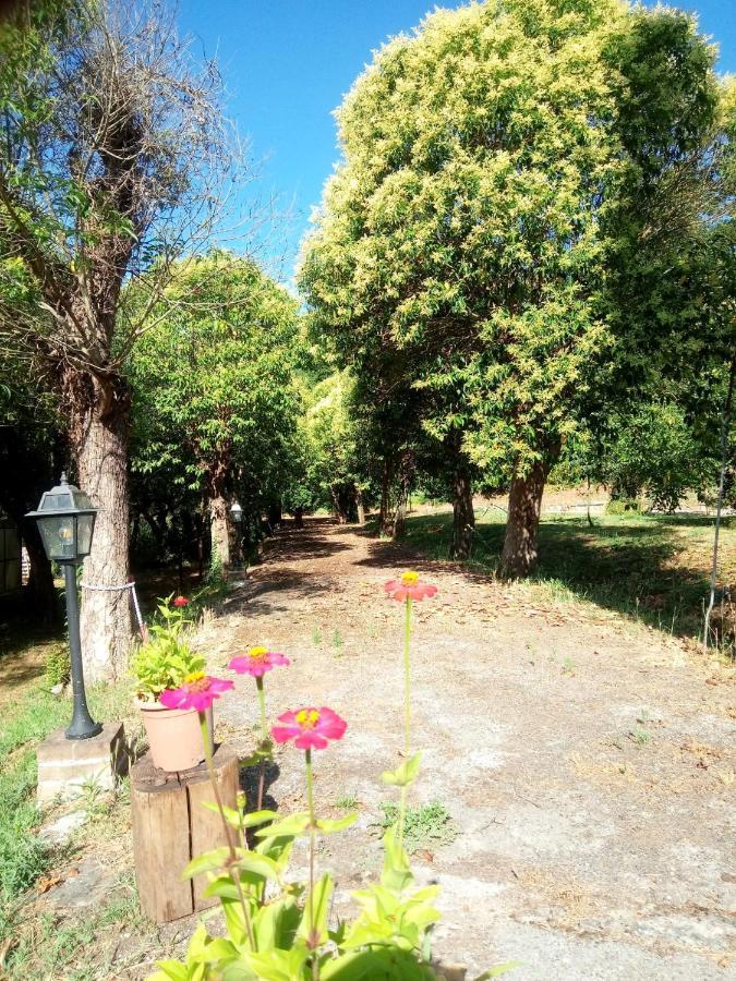 Apartament Az.Agricola Agriturismo La Locanda Di Lann Fucecchio Zewnętrze zdjęcie