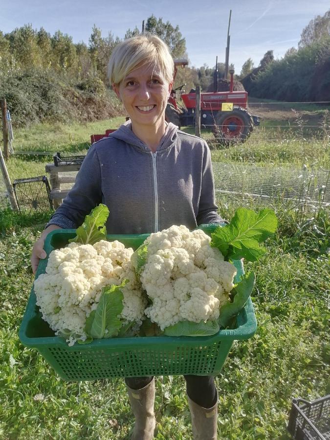 Apartament Az.Agricola Agriturismo La Locanda Di Lann Fucecchio Zewnętrze zdjęcie