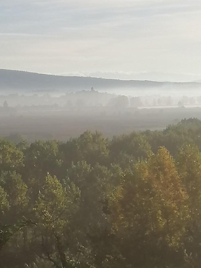 Apartament Az.Agricola Agriturismo La Locanda Di Lann Fucecchio Zewnętrze zdjęcie