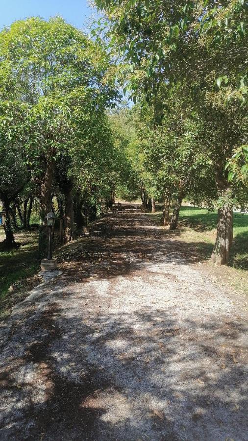Apartament Az.Agricola Agriturismo La Locanda Di Lann Fucecchio Zewnętrze zdjęcie
