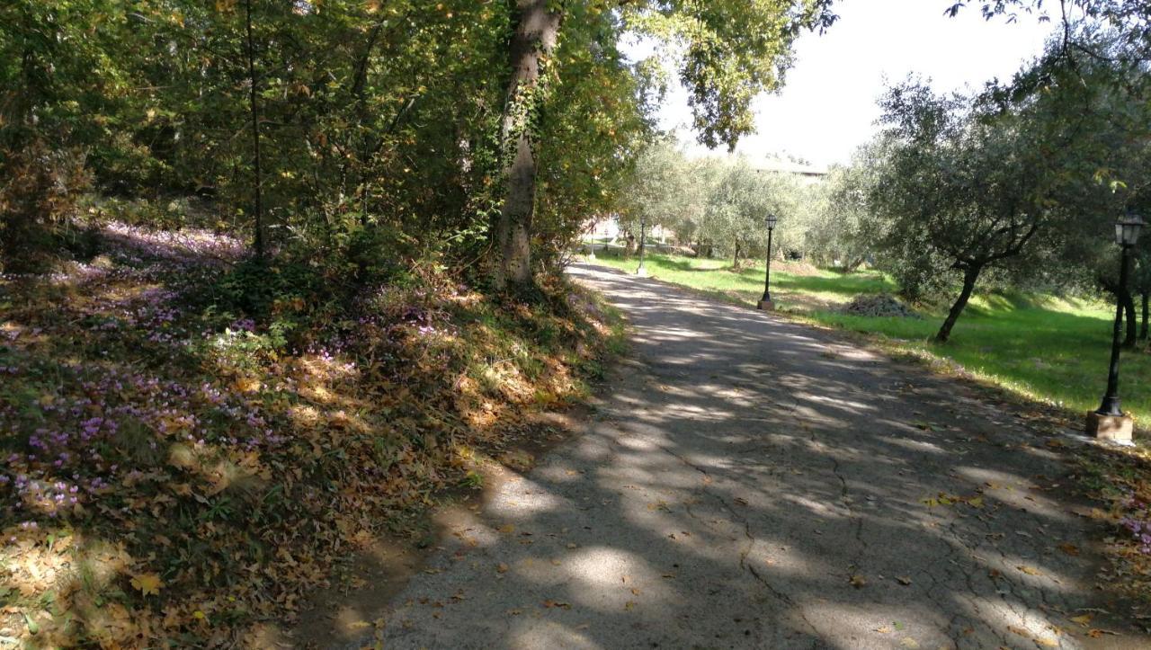 Apartament Az.Agricola Agriturismo La Locanda Di Lann Fucecchio Zewnętrze zdjęcie