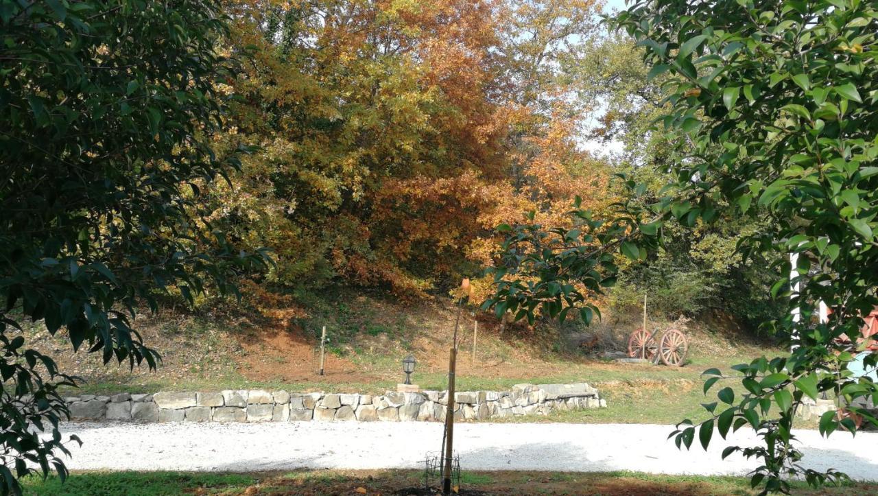 Apartament Az.Agricola Agriturismo La Locanda Di Lann Fucecchio Zewnętrze zdjęcie
