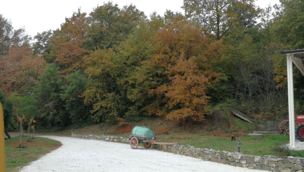 Apartament Az.Agricola Agriturismo La Locanda Di Lann Fucecchio Zewnętrze zdjęcie