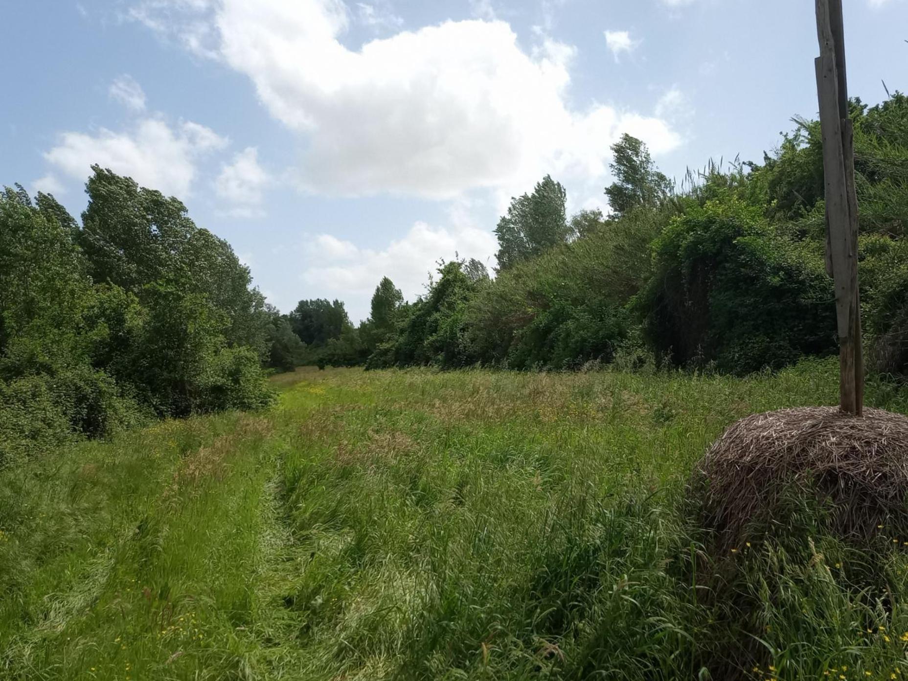 Apartament Az.Agricola Agriturismo La Locanda Di Lann Fucecchio Zewnętrze zdjęcie