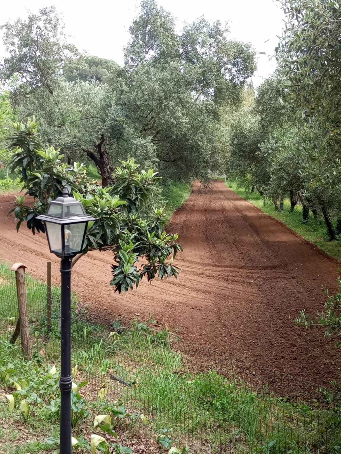 Apartament Az.Agricola Agriturismo La Locanda Di Lann Fucecchio Zewnętrze zdjęcie