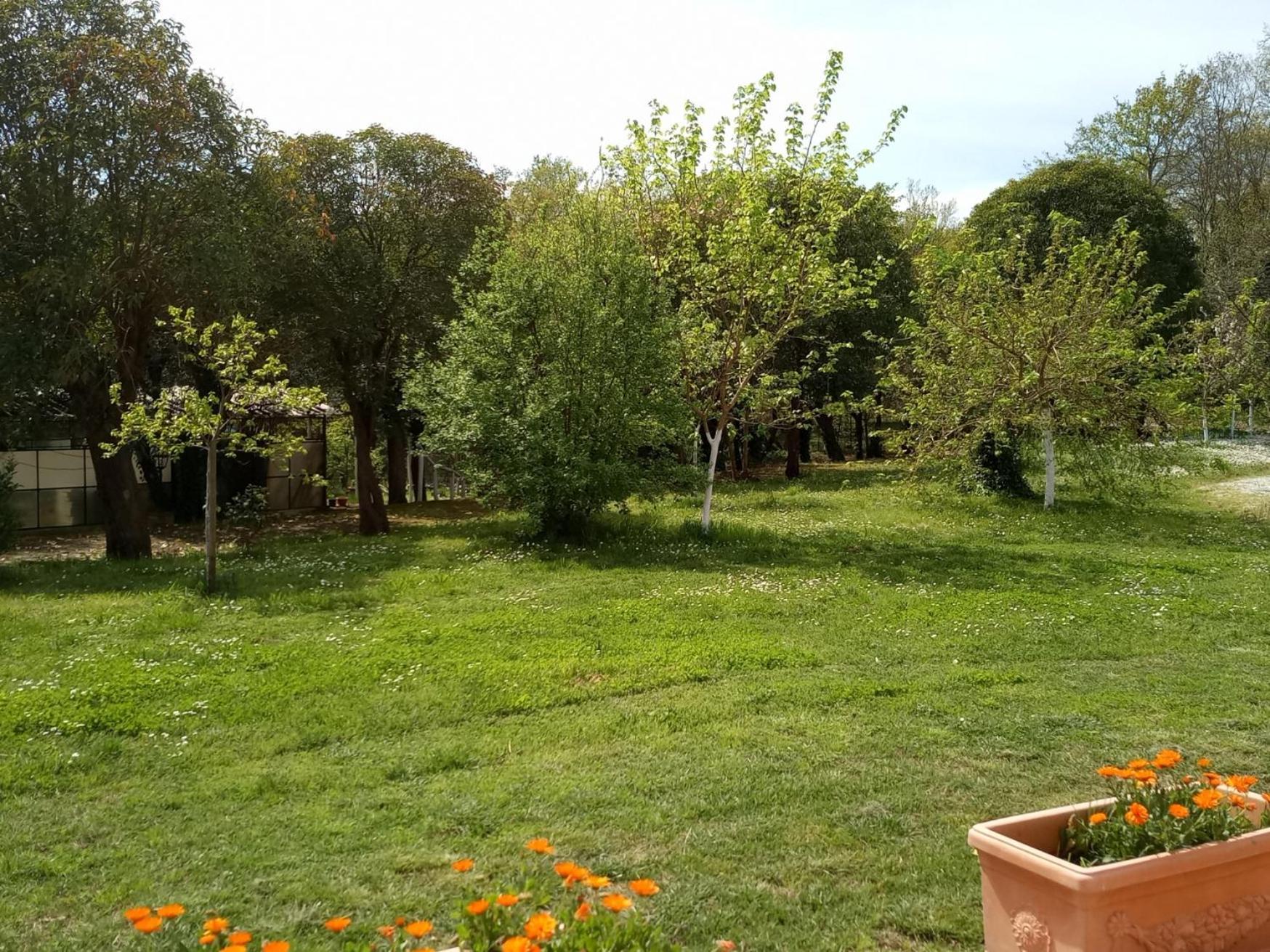 Apartament Az.Agricola Agriturismo La Locanda Di Lann Fucecchio Zewnętrze zdjęcie