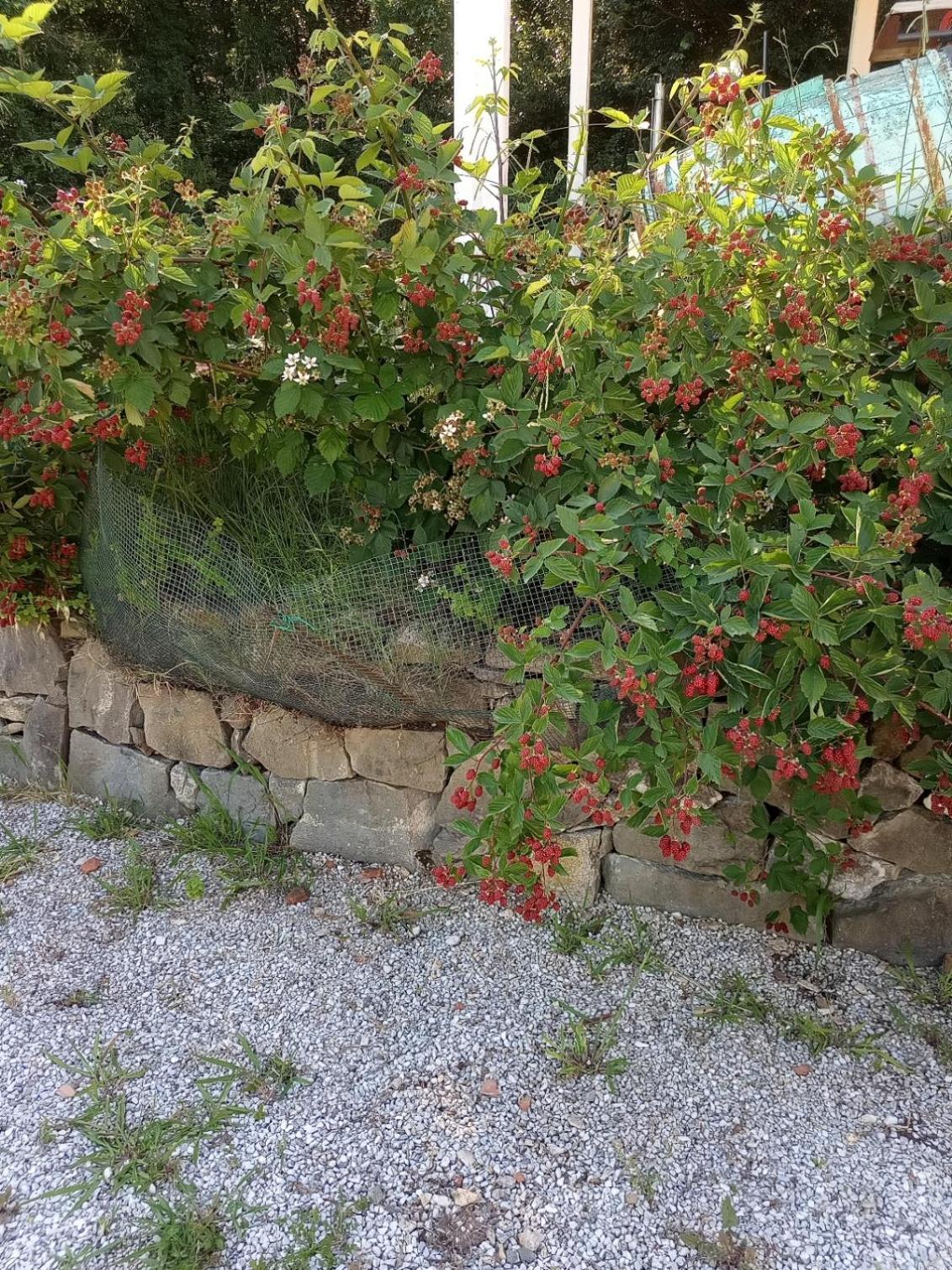 Apartament Az.Agricola Agriturismo La Locanda Di Lann Fucecchio Zewnętrze zdjęcie